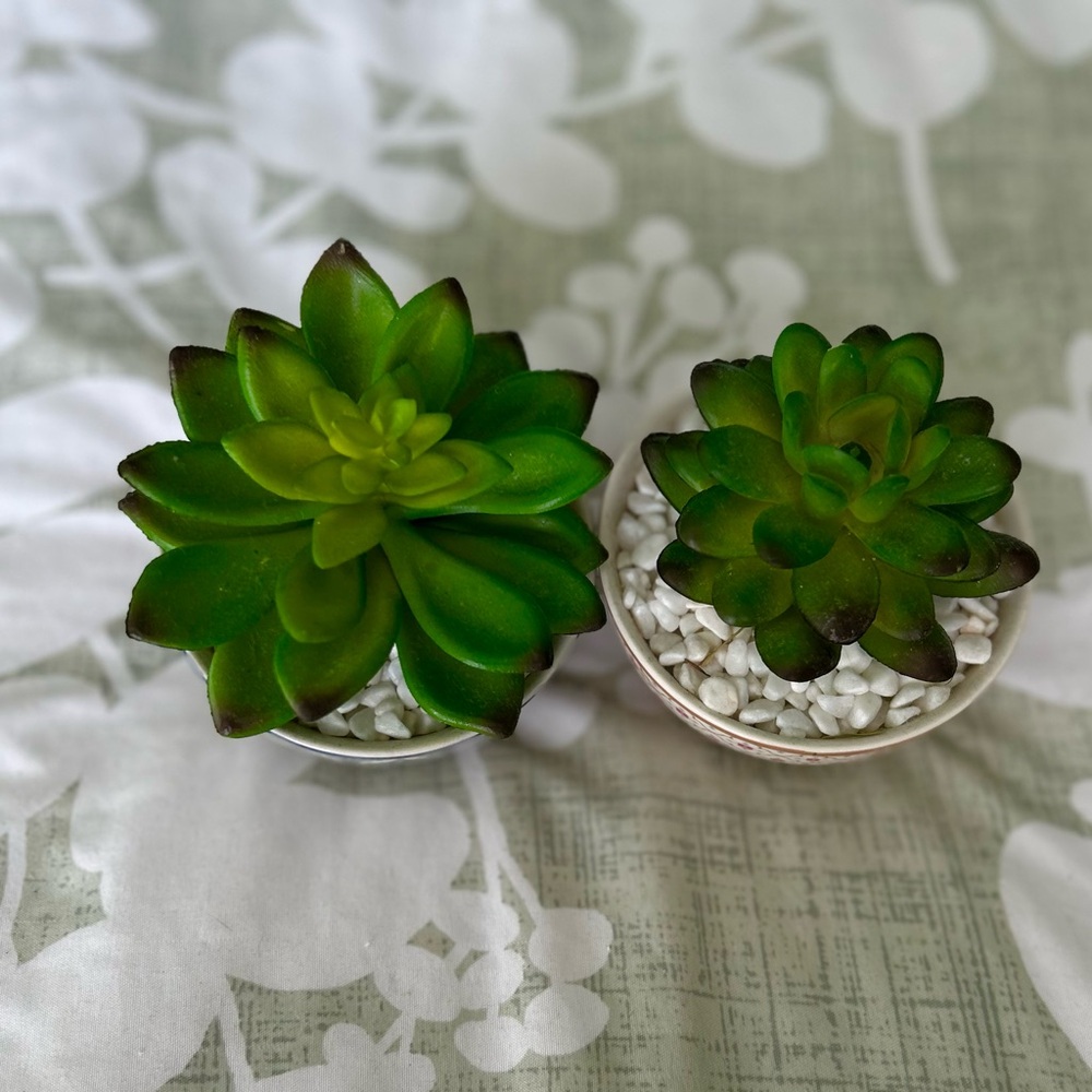 Adorable Mini Potted Faux Succulent Desert Green Plant Decor Accent Set of 2 - Picture 8 of 9